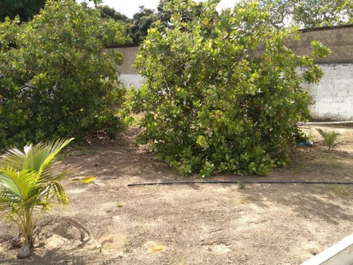 Imagem 10 de 15 de Chácara Para Venda Em Satuba, Lindóia - In - 0010_1-1274779
