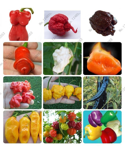 Kit 100 Sementes Variedades De Pimenta Raras