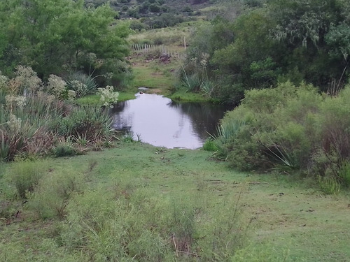 Campo De 153 Hectáreas En Maldonado