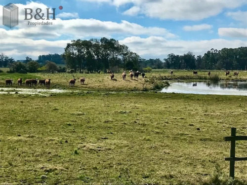 Chacra En Venta De 5 Hectáreas - Camino Medellin
