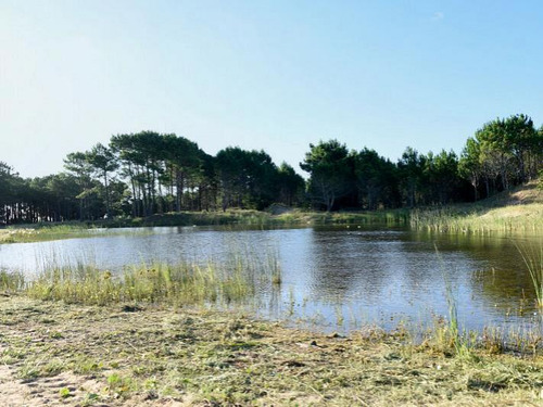 Northbeach Lotes Venta Pinamar