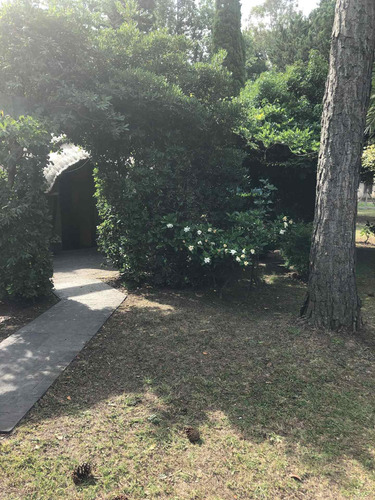 Imagen 4 de 14 de Casa Parque Gorriti Lote 1000 Mts Con Casa Y Servicios