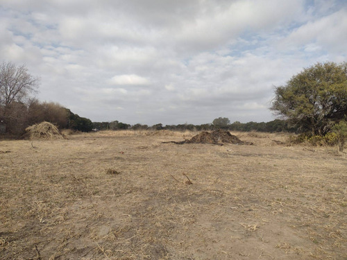 Imagen 7 de 12 de Venta Campo 6 Has - Villa Esquiu