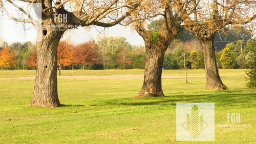 Lote Bosque En Venta En El Campo De Cardales Financia