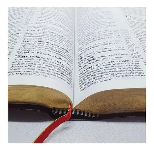Bíblia De Estudo Pentecostal Média Luxo Harpa Crista Preta