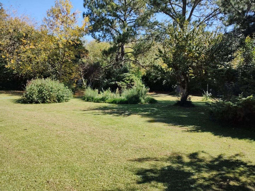Imagen 14 de 16 de Quinta De 1300 Mts2 Aprox.