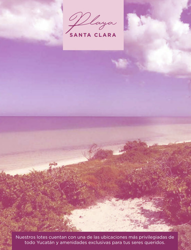 Imagen 4 de 11 de Amaranto Santa Clara