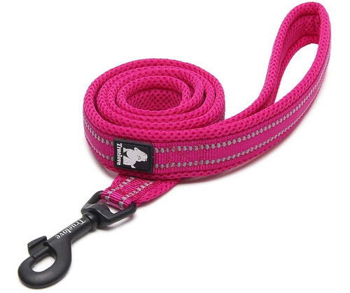 Correa Para Perros Reflectante Truelove Fucsia Talla L Color Fushcia