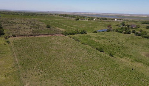 Imagen 5 de 6 de Amplio Terreno De 7.500 M2 En Zona Excepcional, Excelentes Vistas !