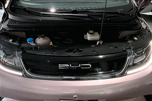 Byd Dolphin 2024