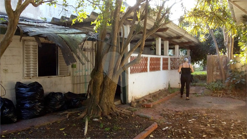 Imagem 8 de 16 de Terreno - Reo473496