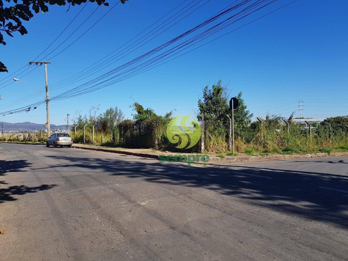 Imagem 8 de 13 de Terreno À Venda, 4.878 M² - Água Branca - Contagem/mg - Te0026