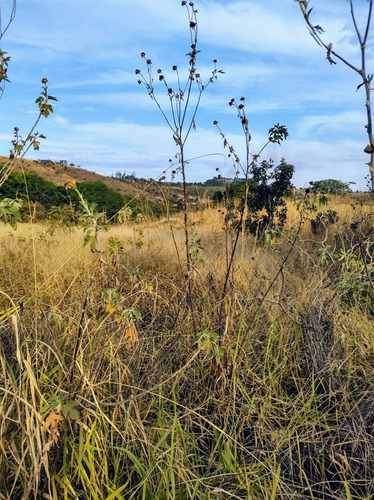 Imagem 5 de 6 de Chácara Um Hectare 10.000 Mil Metros