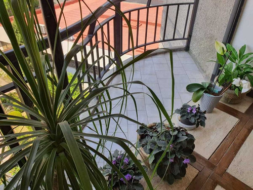 Imagen 5 de 30 de Increíble Departamento En Trianon En Venta, Muy Exclusivo. A