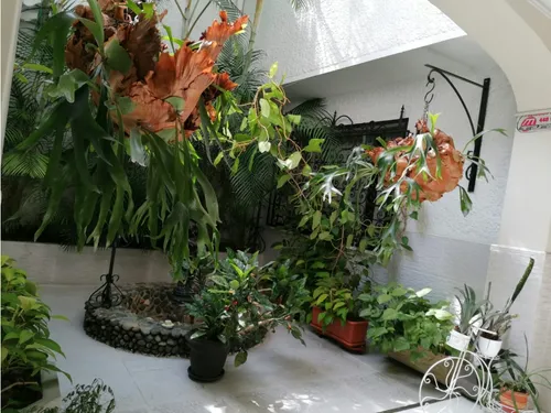 Venta Casa Unifamiliar Medellin Conquistadores