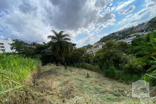 Imagem 3 de 13 de Lote À Venda No Alto Caiçaras - Código 276550 - 276550