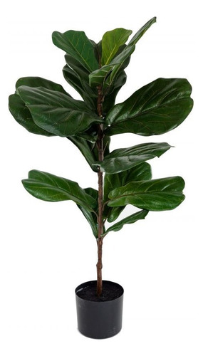 Planta Ficus Lyrata Medium, 1 Unidad, 95 Cm