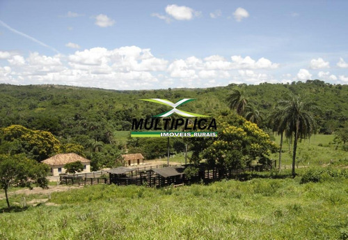 Imagem 2 de 9 de Fazenda Para Pecuária, 460 Hectares Em São Gonçalo Do Abaeté Mg - 386
