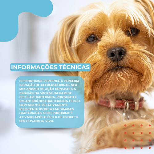 Ceftrat 200mg 12 Comprimidos Antibacteriano Para Cães Agener