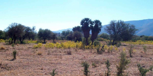 Imagen 9 de 9 de Fracción De 5 Ha. Charbonier( Última Disponible)