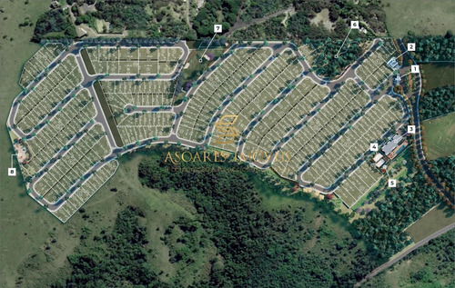 Imagem 20 de 30 de Terreno À Venda Em Joaquim Egídio - Te000348