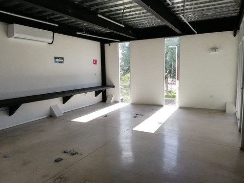 Imagen 12 de 15 de Oficinas En Renta El Faro