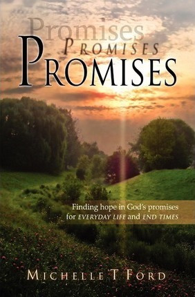 Promises, Promises, Promises - Michelle T. Ford