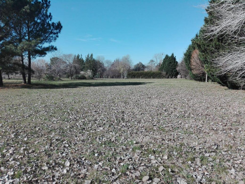 Imagen 3 de 10 de Terreno - Open Door
