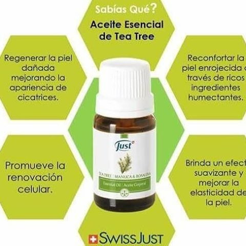Imagen 2 de 4 de Aceite Tea Tree