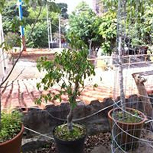 Imagem 16 de 19 de Casa Com Tranquilidade Total Zona Z! - Reo16630