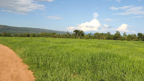 Imagem 2 de 20 de Fazenda Na Região De Rosário Oeste -mt