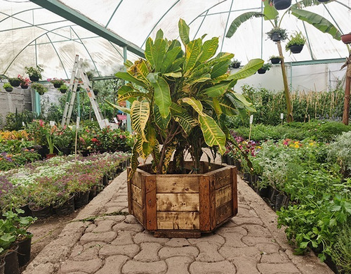 Maceta De Madera Tipo Jardinera Hexagonal