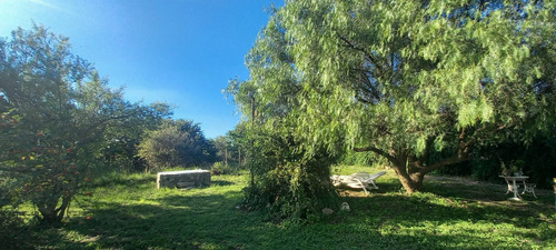 Imagen 7 de 30 de Campo 7 Hectreas Plano Con Chalet, San Esteban