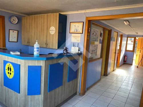 Terreno Construccion En Arriendo En Peñaflor