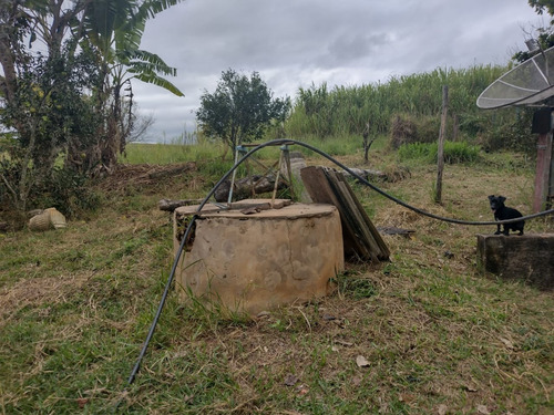 Imagem 25 de 30 de Chácara 4,5 Alqueires Casa Simples E Boa,poço Caipira Agua Cristalina,corrego No Fundo,fácil Acesso 800mts Do Asfalto,ótimo Pasto,27 Kms Itapetininga - Ch00081 - 69505662