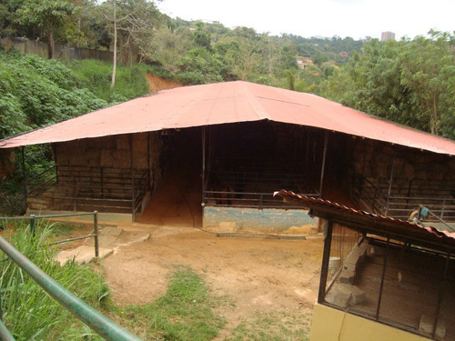 Imagen 2 de 12 de Finca Venta Corralito Riv#6143