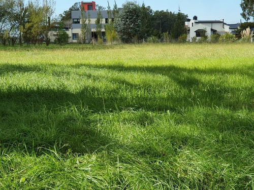 Hermoso Y Amplio Lote En Barrio La Armonía!