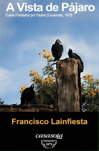 A Vista De Pajaro, De Francisco Lainfiesta. Editorial Casasola Editores, Tapa Blanda En Español