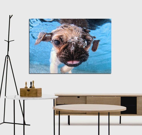 Vinilo Decorativo 60x90cm Perro Bajo El Agua Dog M2