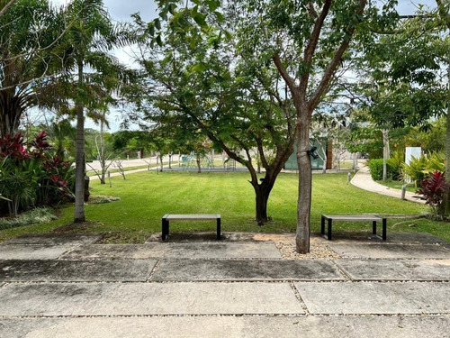 Imagen 5 de 28 de Precio Promoción . Terreno En Venta En Privada Temozón Casa