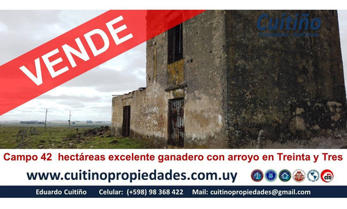 Imagen 3 de 9 de Campo En Venta 42 Hectareas En Treinta Y Tres