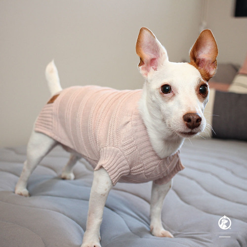 Roupa De Tricô Gola V Rosa Para Cachorro Médio - Xgg