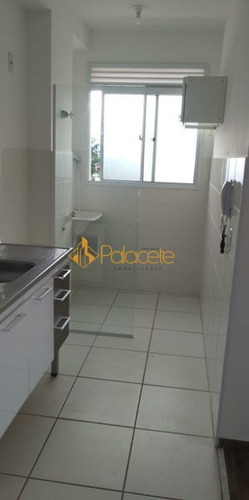 Imagem 14 de 16 de Apartamento Padrão Com 2 Quartos - 501786-v