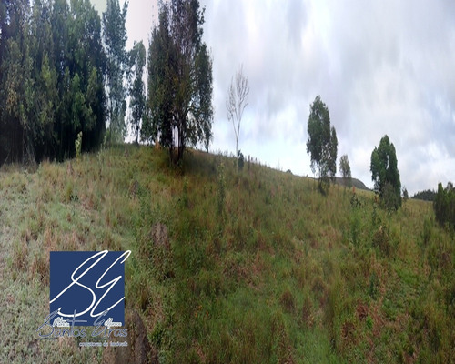 Imagem 10 de 27 de Fazenda - Fa00002 - 4589514
