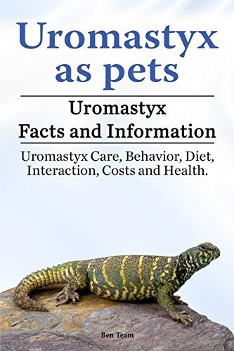 Uromastyx Como Mascotas Datos E Informacion Sobre Uromastyx 