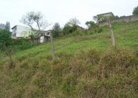 Imagem 4 de 6 de Terreno No Centro Da Cidade | 14362 - 14362