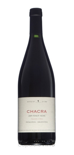 Vino Chacra Treinta Y Dos Pinot Noir 2016-patagonia-x 750 Ml