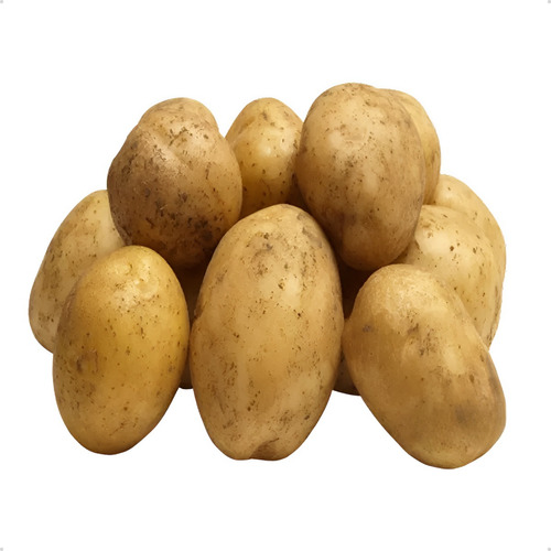 Batata Branca Inglesa Da Terra Escovada Selecionada Saco 5kg