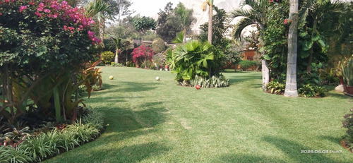 Palmeras De Condorhuaca Eventos Full Day 3000mts2.