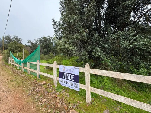 ¡oportunidad! Parcela Semiplana De 5.000 M2 Con Rol Propio